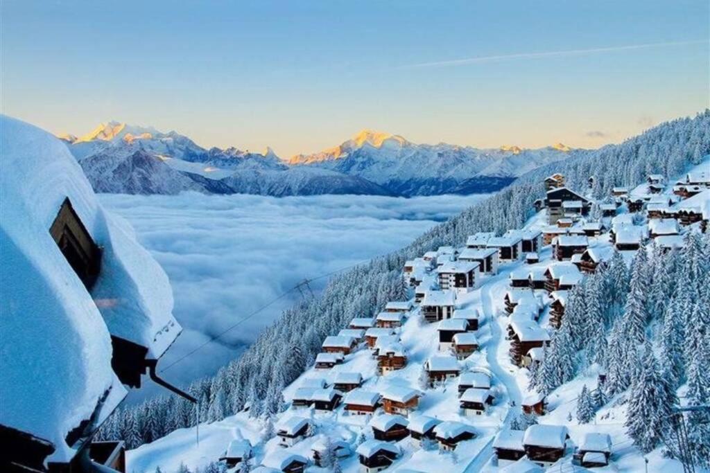 Alpine Bettmeralp
