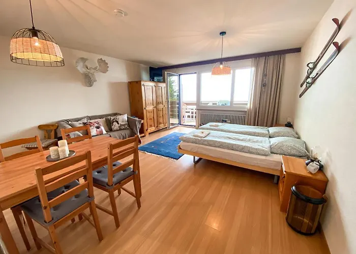 Studio Apartment Alpine Lodge